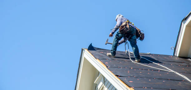 Best Roof Leak Repair  in Orange Beach, AL
